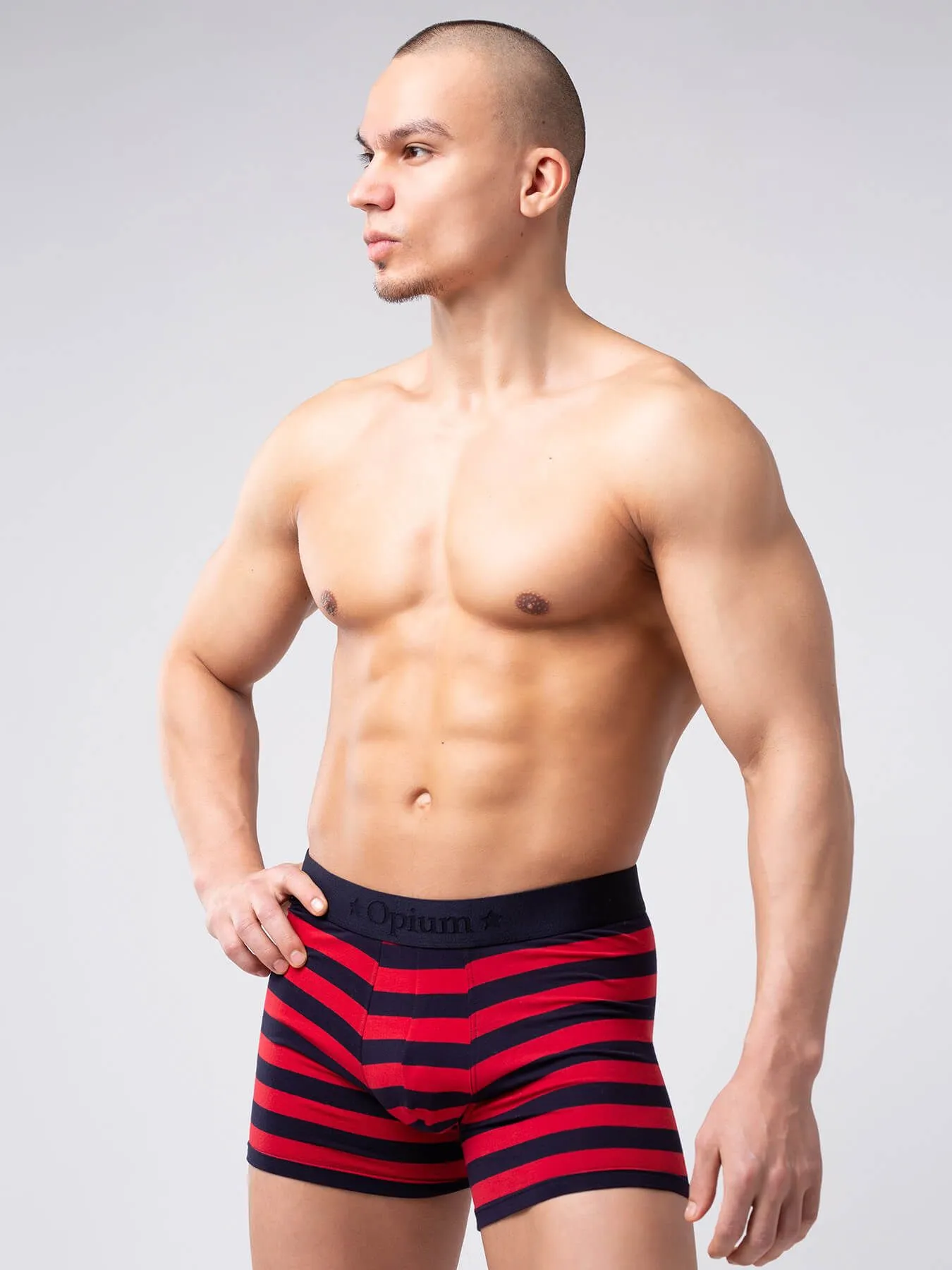 Эротическое трусы мужские удлиненные боксеры opium r126 в полоску в России